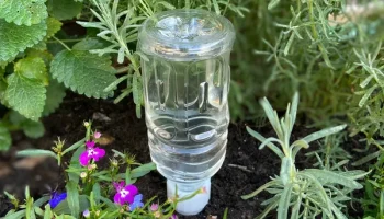 Шипы для полива ПЭТ-бутылок Медленный полив.........