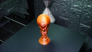 Трофей чемпионата мира по футболу FIFA (без дополнительно... 9