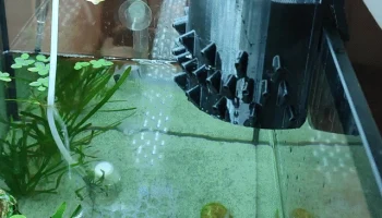 Налив воды в аквариум 1