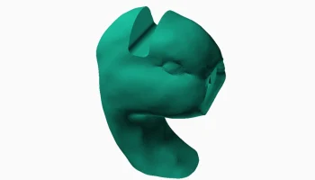 Ужасный держатель для очков 5