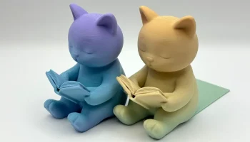 Читающий кошачий форзац