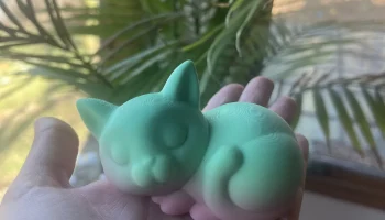 Спящий кот (без подставок) 1