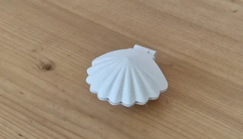Shell 2 3