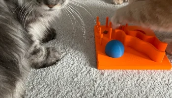 Игрушка для кошек, Katzenspielzeug