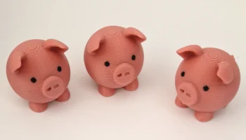 Cute Pig 1