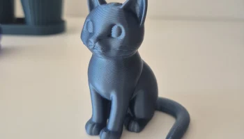 Cute Cat