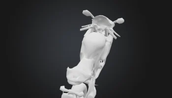 Спортивный велосипед 3D модель 3