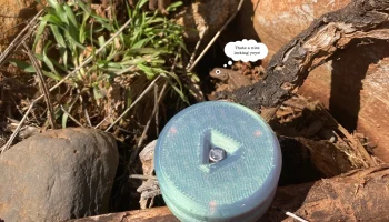 DIP не отвечает YoYo 1