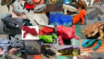 Красноглазый крокодиловый сцинк 3