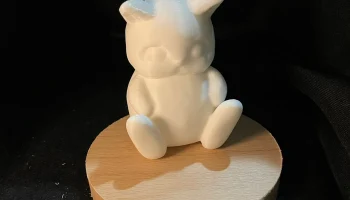 Chubby Cat 4
