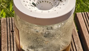 Ловушка для домашних мух 3