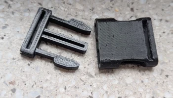 Buckle 2