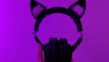 Кошачьи ушки для наушников.