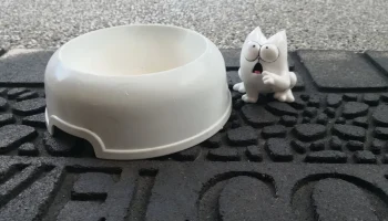 Голодный кот Саймона 1