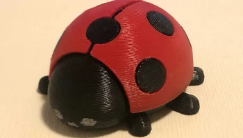 Божья коровка (берушка) Божья коровка (берушка)