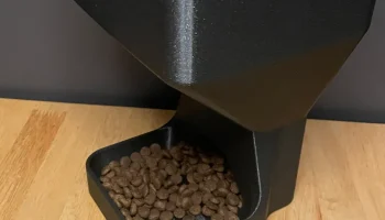 Cat feeder