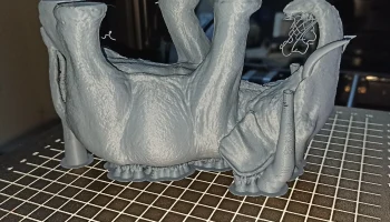 Elephant 3