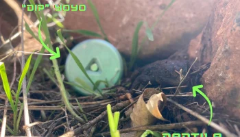 DIP не отвечает YoYo 2