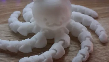Кот Осьминог