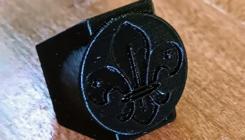 Международный скаут fleur de lis woggle - Canuto o pasa pa&ntilde;u 4