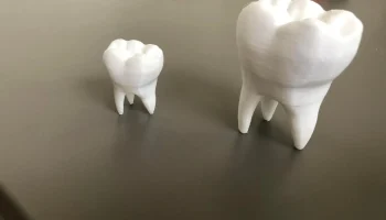 Tooth 1