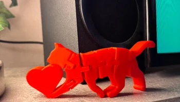 Valentine Flexi Cat - Гибкий кот с сердцем 3
