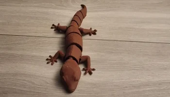 Gecko гибкий шарнирный с принтом на месте...... 3