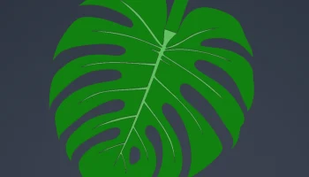Print-a-plant - растение Монстера для печати 3
