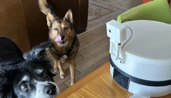 The Treat Cam: автоматический дозатор лакомств, который д.. 5