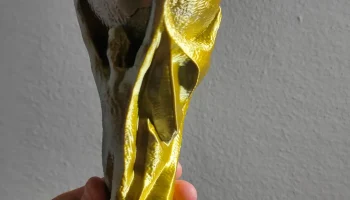 World Cup 2