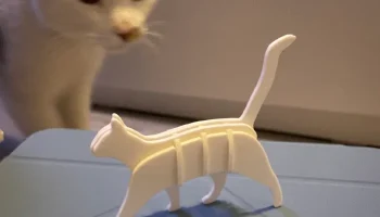 Карточка с набором "Идущая кошка"