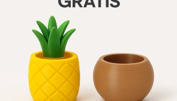 Macetas 3D из пинья и кокоса для суккулентов........