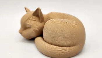 Спящий кот 2