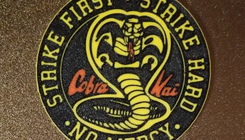 Каботажное судно Cobra Kai Strike First 1