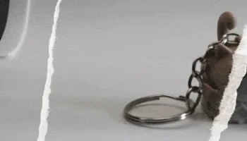 Сердитый кот "в" коробке 9