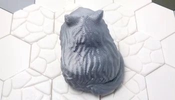 Fluffy Cat 3