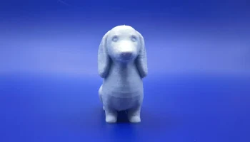 Длинный и низкий компаньон