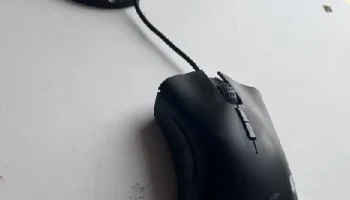 Мышь Банджи 1