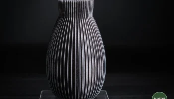 обскура &middot; ваза 1