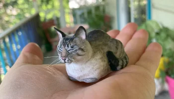 Кошачий хлеб (с закрытыми глазами)...