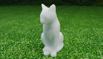 Cat 3