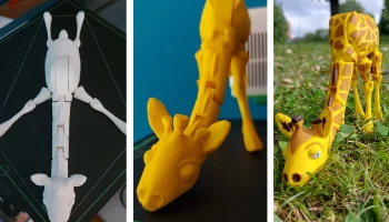 Giraffe 1