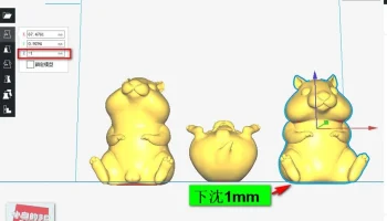Hamster 6