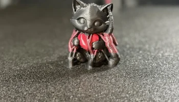 Кот сердца 5
