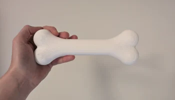 Простая мультяшная кость