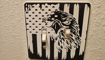 Двойной выключатель света Eagle с американским флагом.......