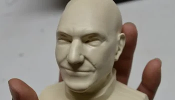 Пикард Бюст