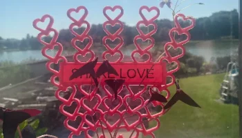 Ранг / St&uuml;tzhilfe f&uuml;r Pflanzen 200 мм Love Design 1