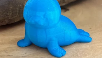 Милый маленький тюлень