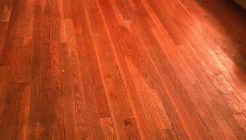 RC Cat Laser с использованием Arduino Cloud 1